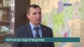 В Иркутской области узаконили отстрел бакланов – стремительный рост популяции птиц может нанести вред экосистемам Усть-Илимского и Братского водохранилищ
