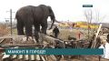 Эхо Ледниковой Эпохи в Иркутске