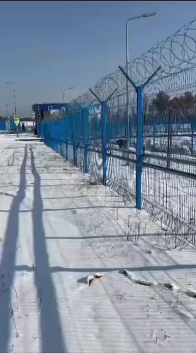 "Братан, иди вперёд!" — охранник на космодроме Восточный решил помочь медведю, который явно сбился с пути