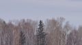 #нампишут:. Мс-21-310 совершил испытательный полет