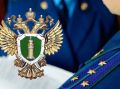 В Качугском районе удовлетворены требования прокуратуры о возмещении ущерба, причиненного животному миру в размере более 1,7 млн рублей