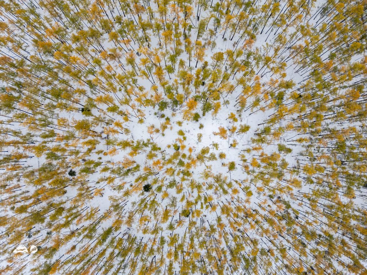 Ушканьи острова на Байкале покрылись первым снегом Ушканьи острова на Байкале покрылись первым снегом