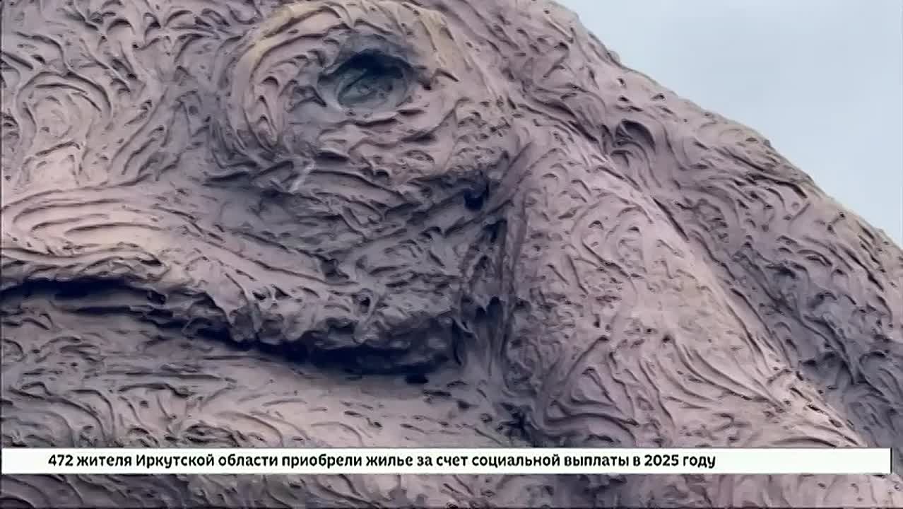 Из Братска в Иркутск переехал