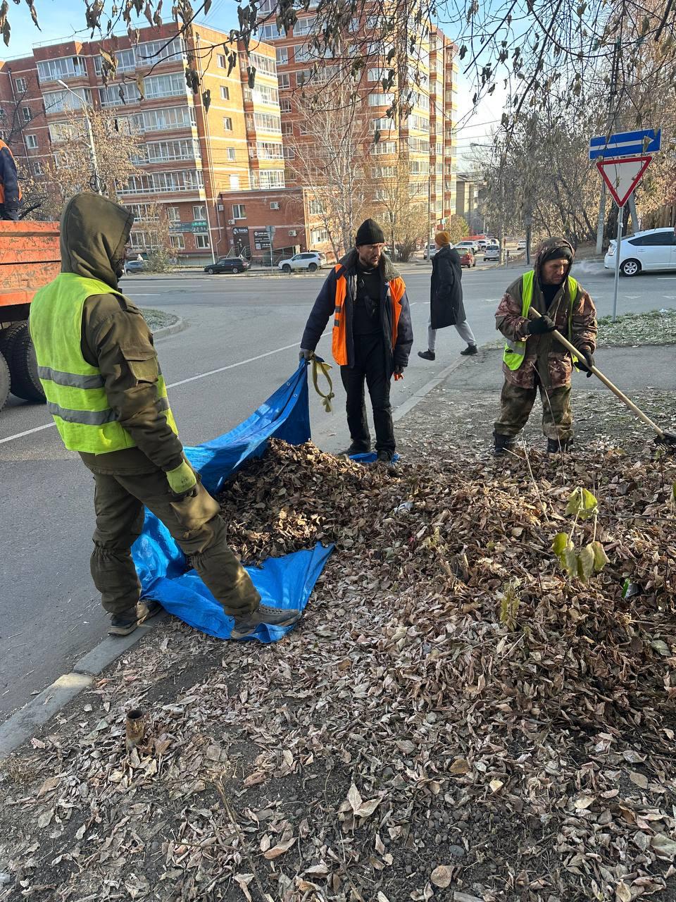 В Иркутске усилили работы по сбору и вывозу листвы В Иркутске усилили работы по сбору и вывозу листвы