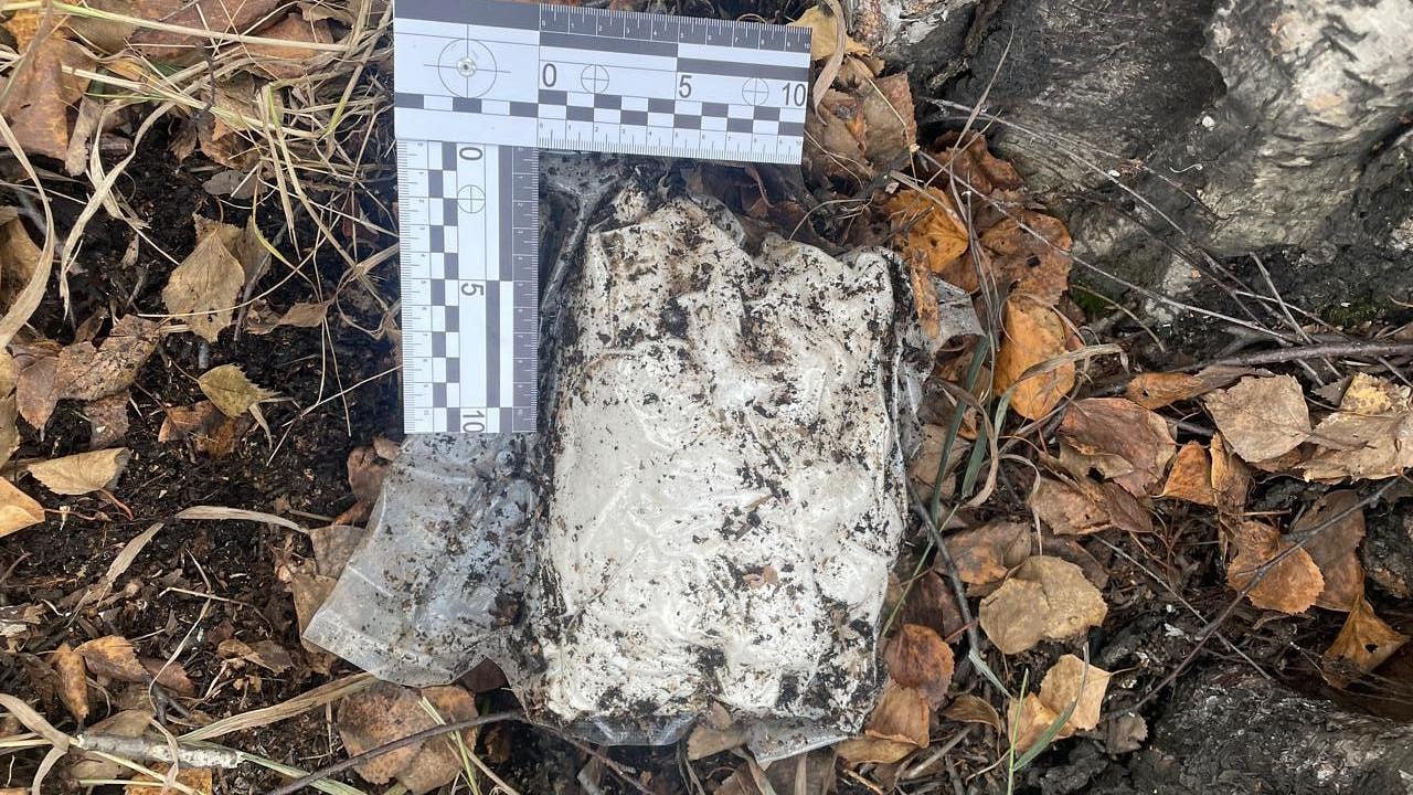 В Иркутске транспортная полиция уличила четырежды судимого мужчину в попытке сбыта 1 кг мефедрона В Иркутске транспортная полиция уличила четырежды судимого мужчину в попытке сбыта 1 кг мефедрона