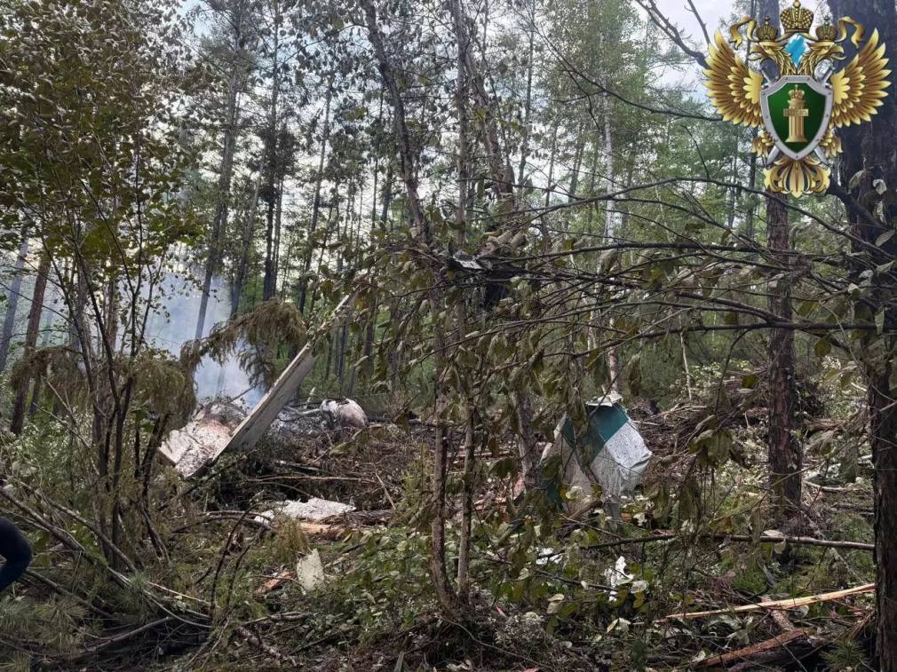 Приамурье требует возместить экологический ущерб от авиакатастрофы Ан-24