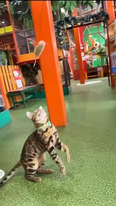 ,      !      ,    ,   !