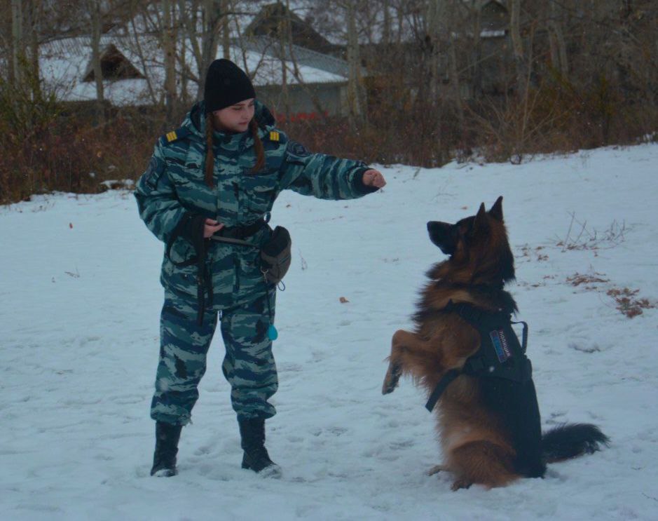 Служба и дружба: кинолог Анастасия и её напарник Деймон Служба и дружба: кинолог Анастасия и её напарник Деймон