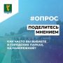 Ангарчане, а вы часто бываете в городских парках и на набережной?
