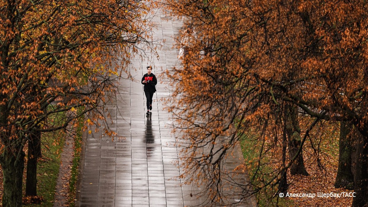 Облачная погода с небольшим дождем и снегом ожидаются сегодня в ряде регионов Сибири