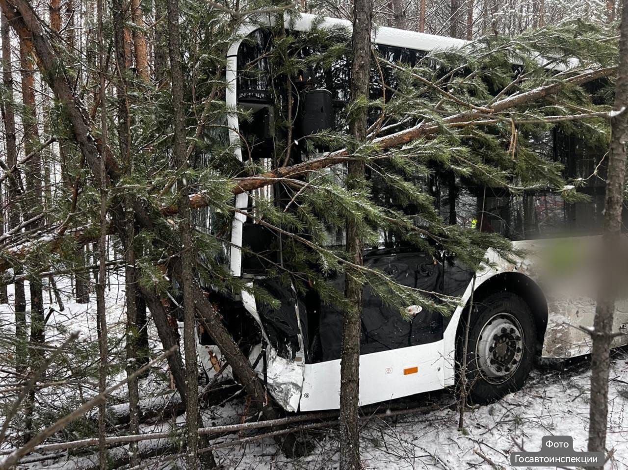 Прокуратура проведёт проверку в связи с автоаварией в Усть-Илимском районе Прокуратура проведёт проверку в связи с автоаварией в Усть-Илимском районе