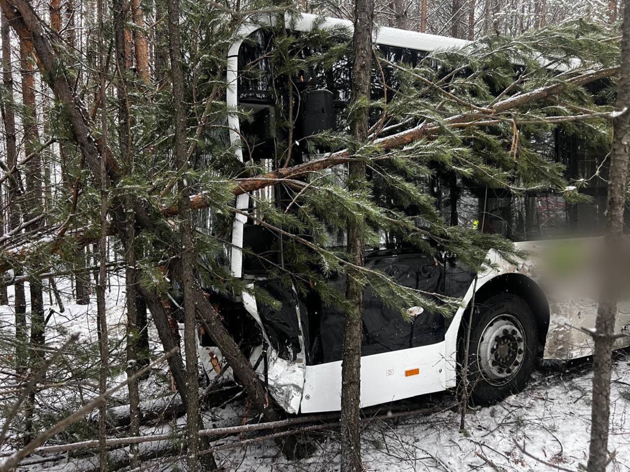 Четыре человека пострадали в ДТП с двумя пассажирскими автобусами и внедорожником на автодороге «Промышленное шоссе» в Усть-Илимске Иркутской области, сообщает ГАИ региона