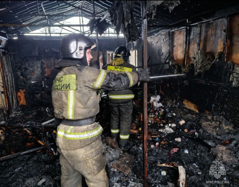 Последствия пожара ликвидируют на острове Конный в Иркутске Последствия пожара ликвидируют на острове Конный в Иркутске