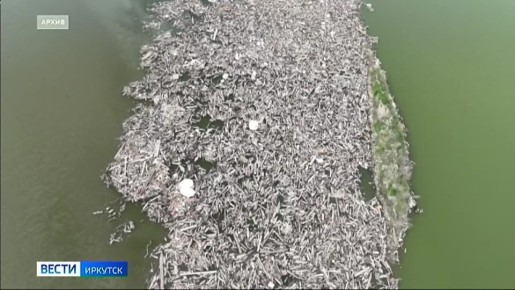 Собственник участка, который превратил озеро в свалку в селе Максимовщина, должен выплатить штраф — 12 тысяч рублей