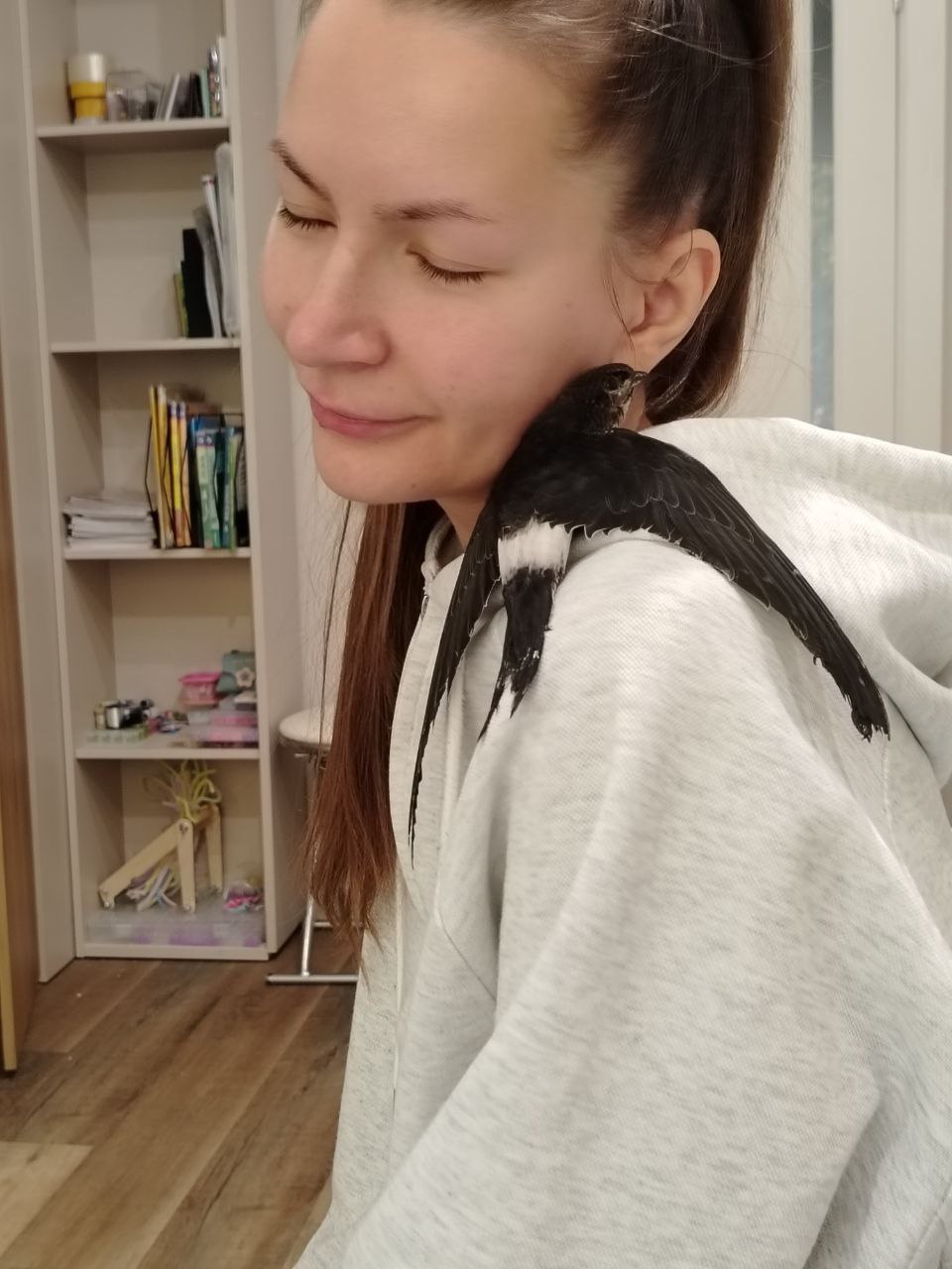 «Готовлю ему сверчков, которые стоят по 8000 рублей в месяц»: сибирячка приютила в квартире раненого птенца стрижа «Готовлю ему сверчков, которые стоят по 8000 рублей в месяц»: сибирячка приютила в квартире раненого птенца стрижа