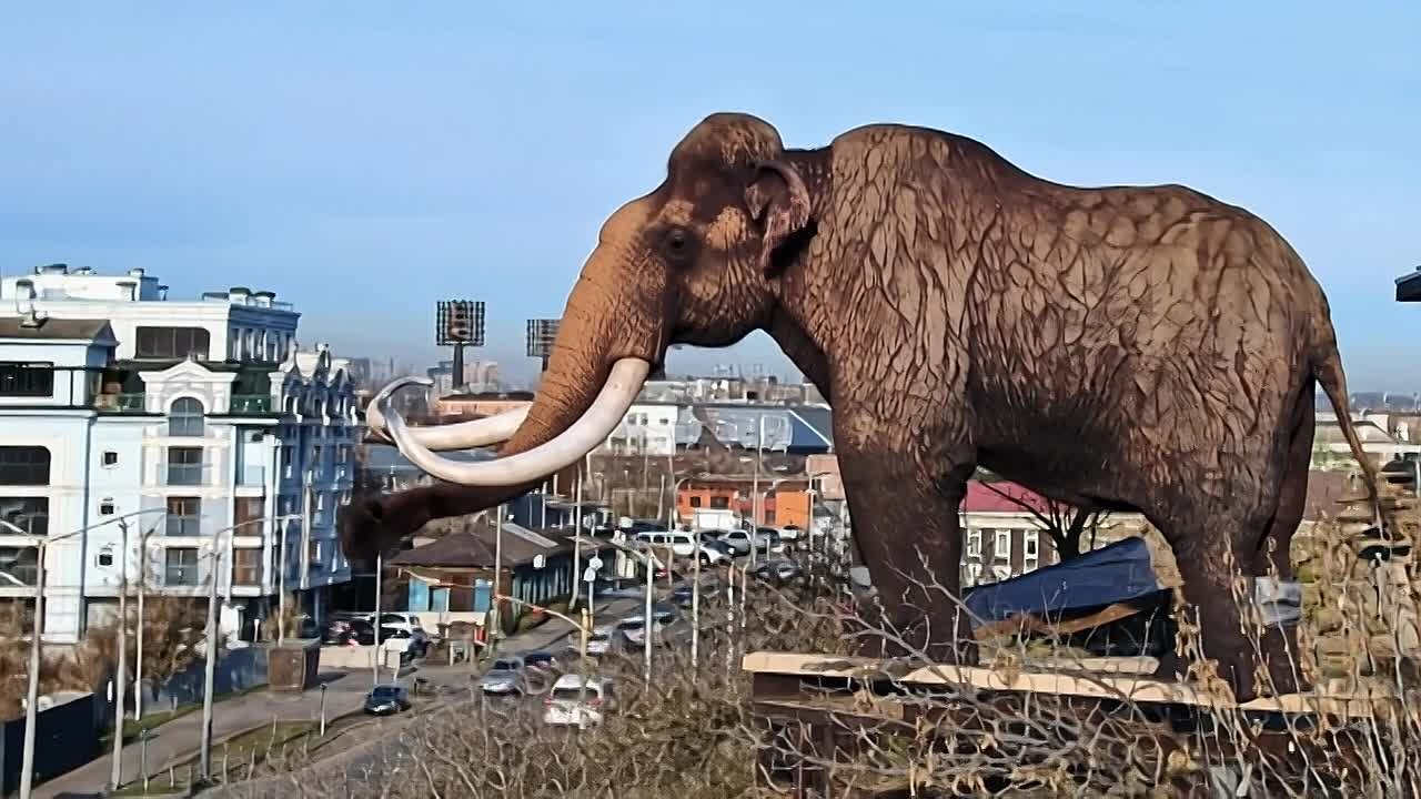 Ёда-мастер "оживил" скульптуру мамонта из Иркутского зоопарка