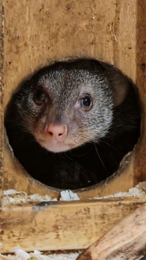 Доброе утро, Иркутская область!