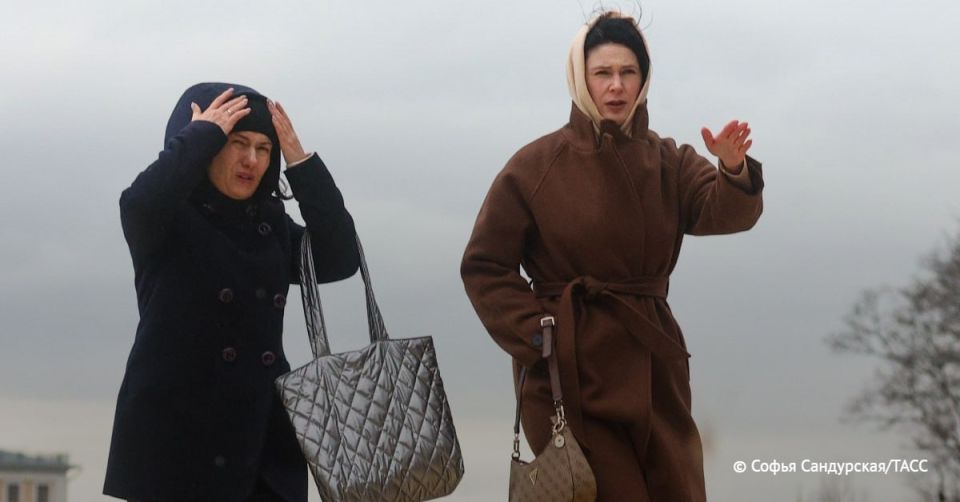       ,        35 /, ,    ,        