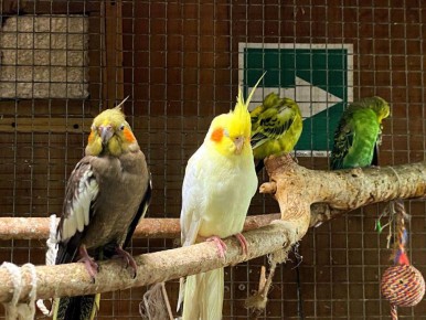 Доброе утро!. Пятница, но на этот раз не конец рабочих будней