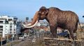 Ёда-мастер "оживил" скульптуру мамонта из Иркутского зоопарка