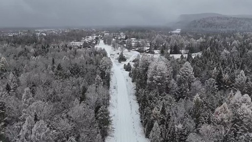 Нарушителей в лесах Иркутской области помогают выявлять фотоловушки