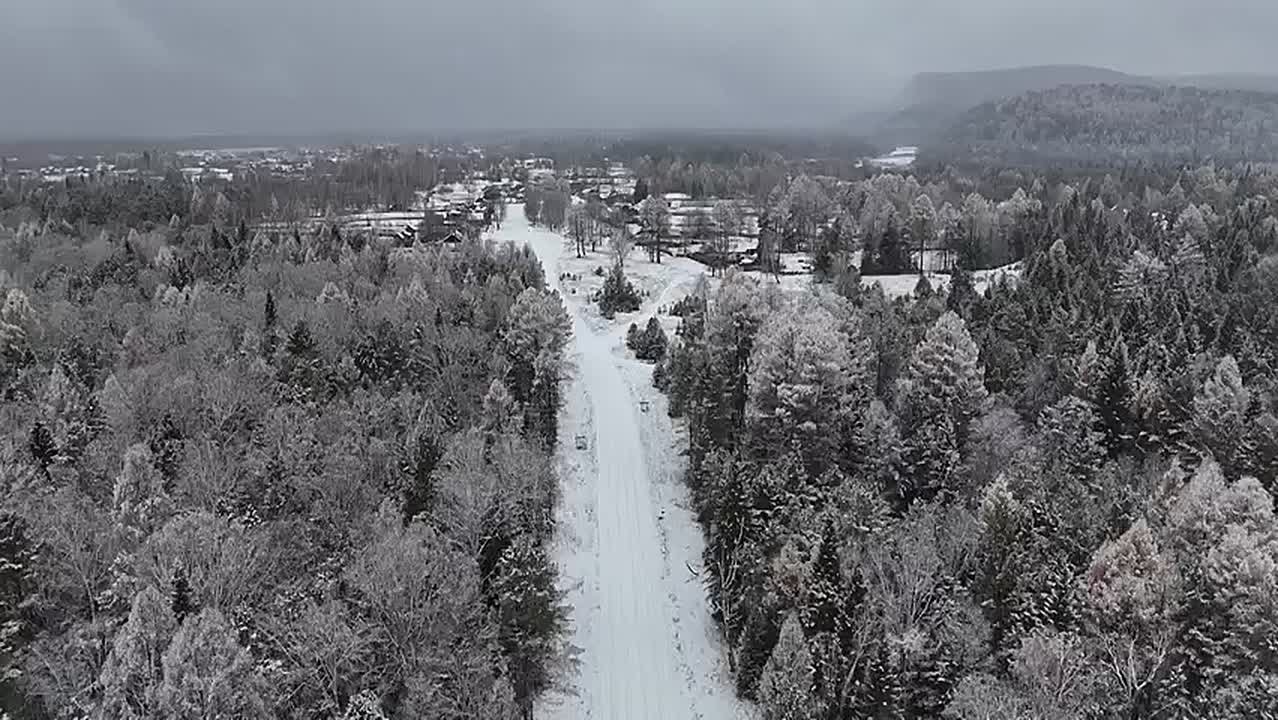 Нарушителей в лесах Иркутской области помогают выявлять фотоловушки