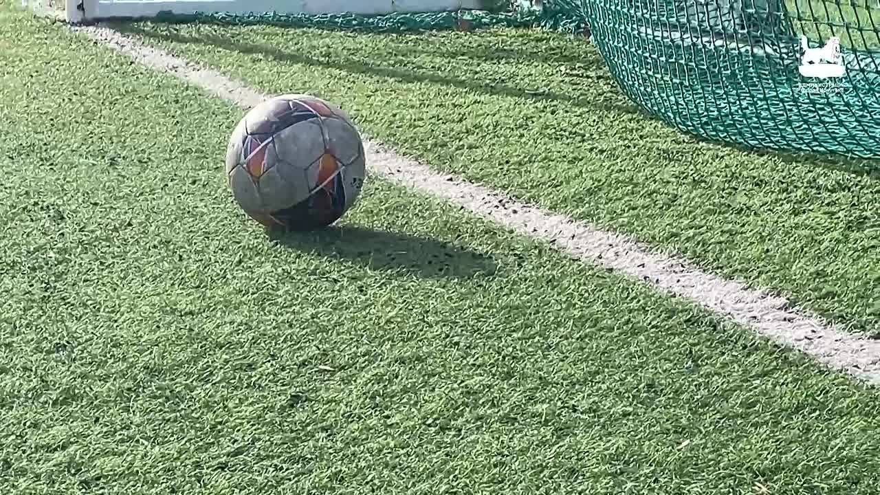 В иркутском спортивном комплексе «Авиатор» более 250 детей бесплатно занимаются футболом и хоккеем