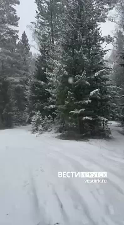 Зимняя сказка по дороге на съемочную площадку