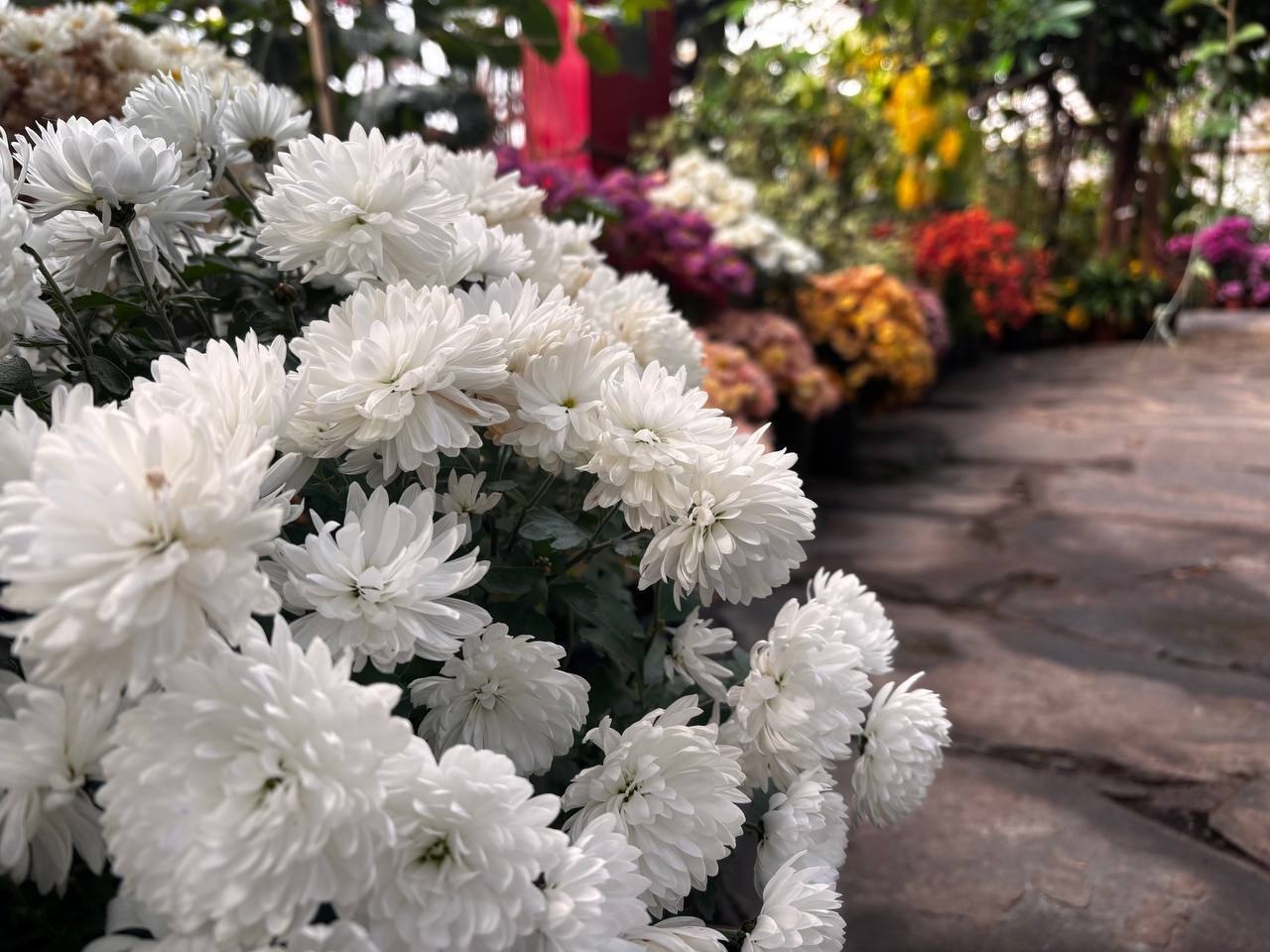 Давайте заглянем в оранжерею Ботанического сада ИГУ и добавим ярких красок в последний день октября