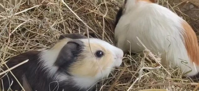 Доброе утро, Иркутская область!