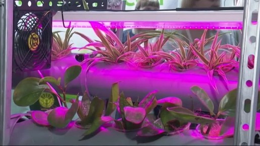 Выставка «Агропромышленная неделя» прошла в Иркутске в 31 раз