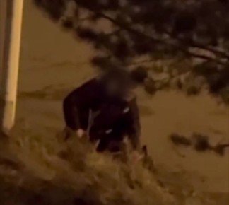 В Иркутске сотрудники полиции проводят проверку по факту инцидента с собакой