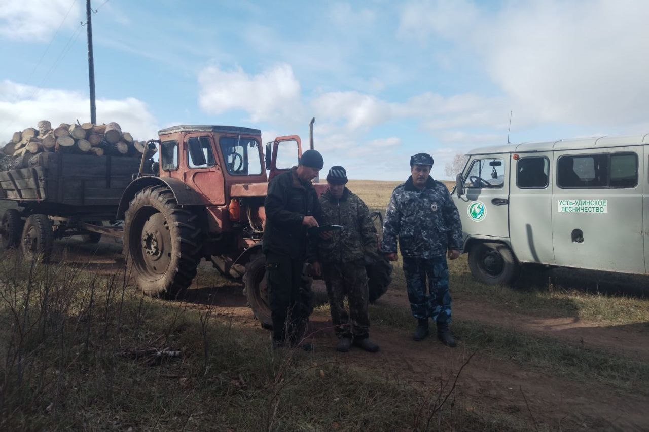 В Иркутской области в ходе оперативно-профилактического мероприятия «Колея» пресекли незаконные рубки в четырех лесничествах