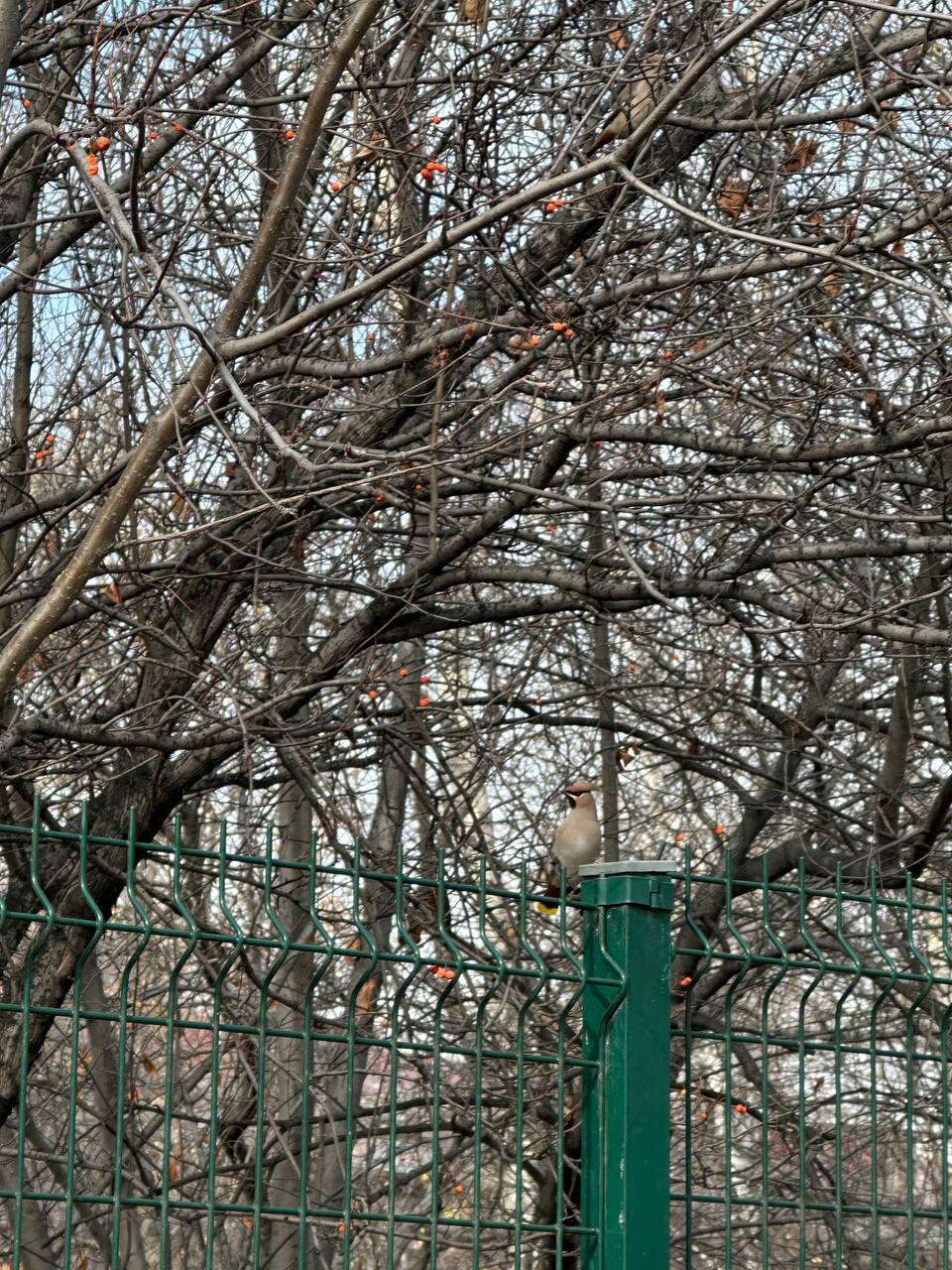 доброе утро, Иркутск !