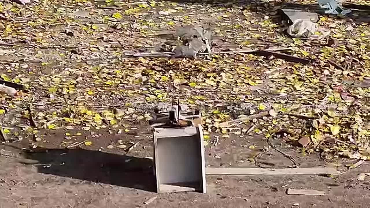 Сегодня не только День народного единства, но и праздник Казанской иконы Божией Матери