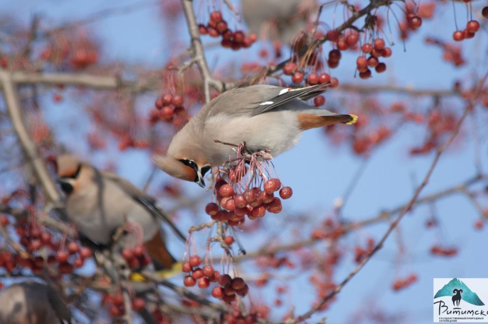   !. 5       ,  -  - 38 /,    +6 