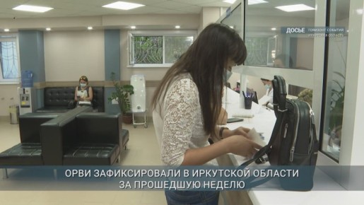 14102 случая ОРВИ и 29 случаев гриппа зарегистрировано за неделю в Иркутской области