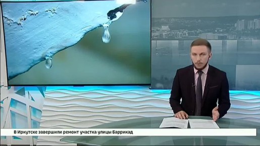 «За полчаса — полное ведро»