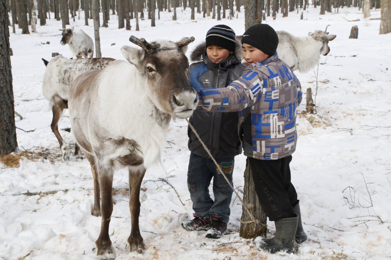 Два новых праздника появятся в нашей стране