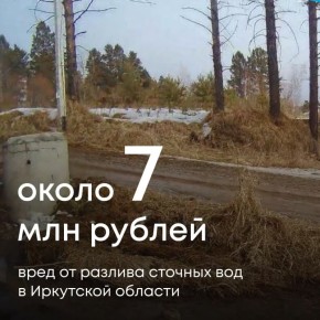 Сотрудники Межрегионального управления Росприроднадзора по Иркутской области и Байкальской природной территории направили иск в Арбитражный суд по факту не возмещения вреда, причиненного почвам