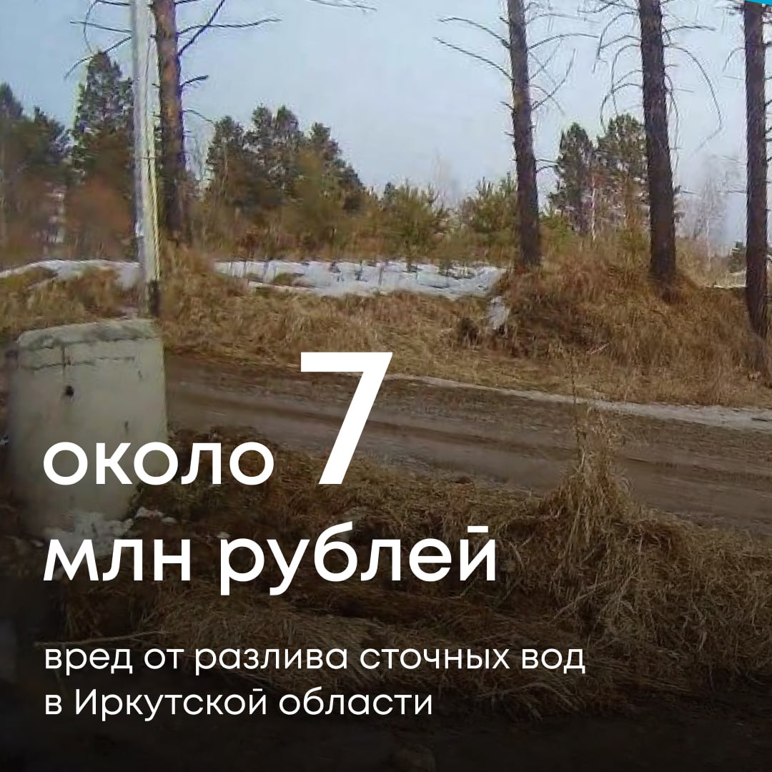 Сотрудники Межрегионального управления Росприроднадзора по Иркутской области и Байкальской природной территории направили иск в Арбитражный суд по факту не возмещения вреда, причиненного почвам