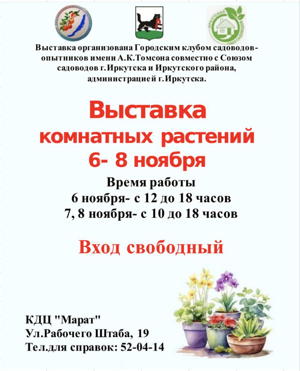 У вас дома есть растения или цветы? Знаете ли вы, как правильно за ними ухаживать?