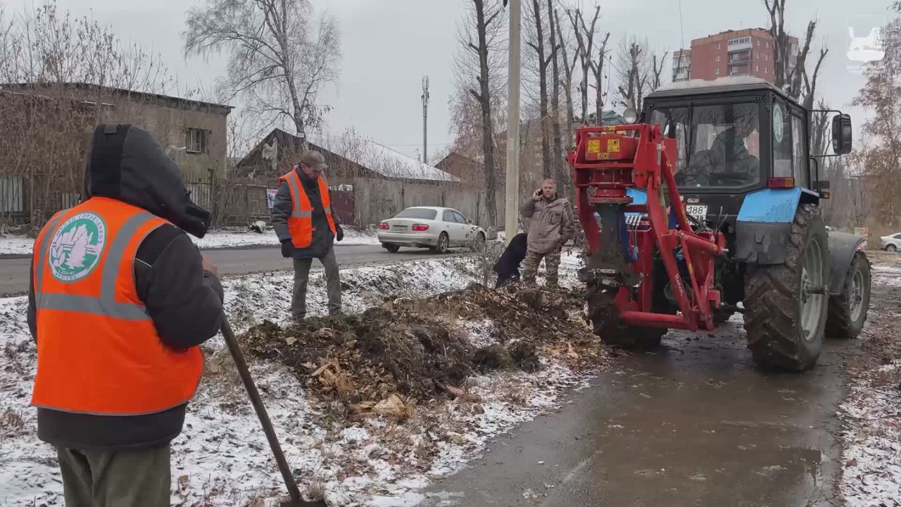 В Иркутске завершают корчевку пней