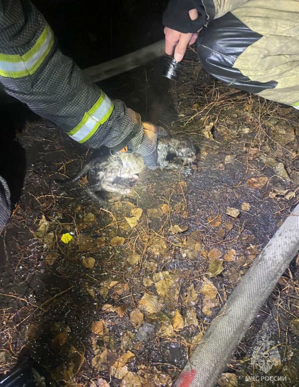 Юноша спас женщину на пожаре в Иркутской области Юноша спас женщину на пожаре в Иркутской области