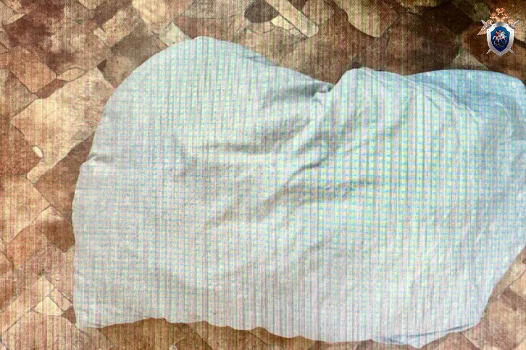 Закрыл рот и начал душить. С помощью подушки мужчина совершил страшное