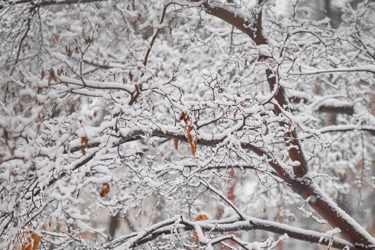 На улице-то что творится На улице-то что творится