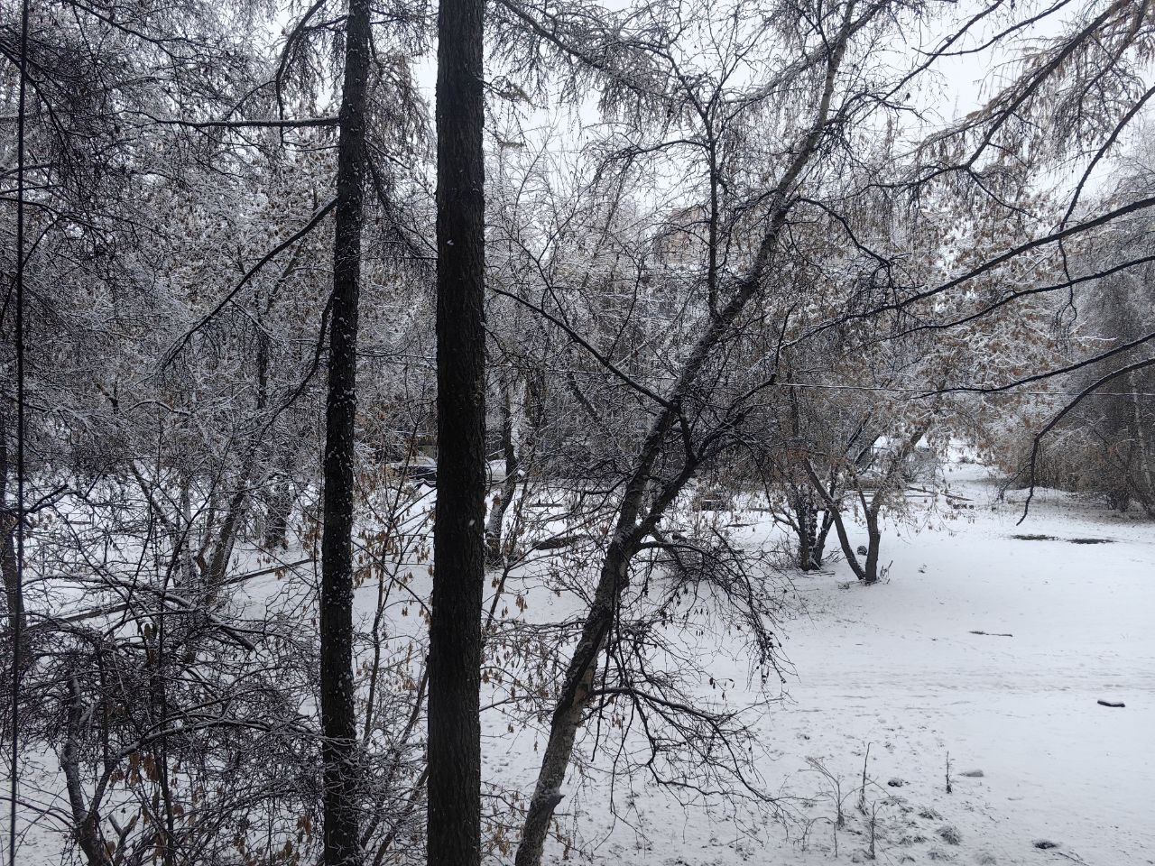 Снежное пятничное утро в Иркутске