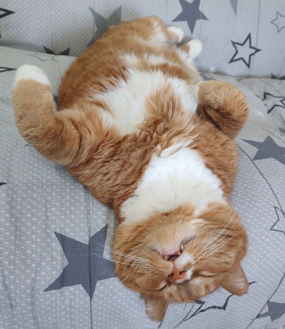 Как себя чувствуете, иркутяне?