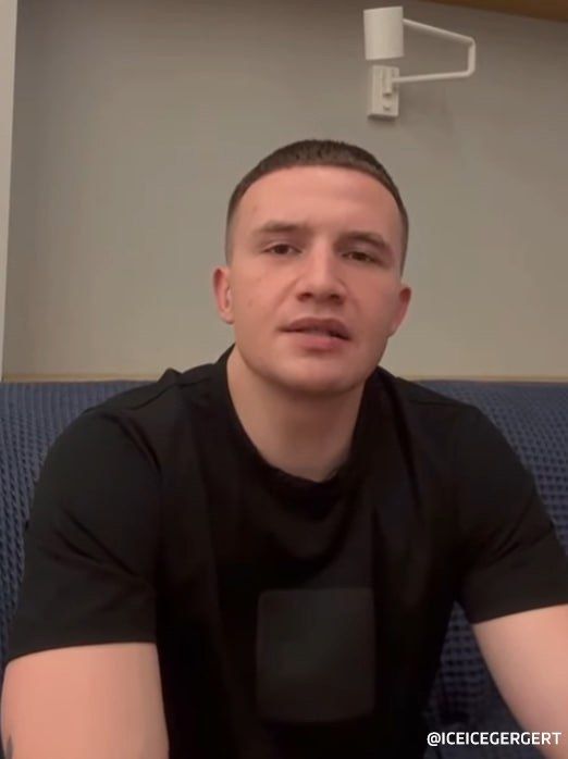           ,    Icegergert,     (   )