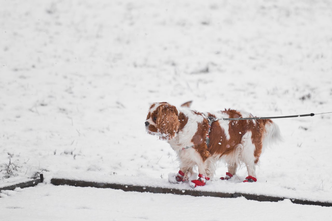 На улице-то что творится